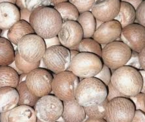 Areca Nut Export
