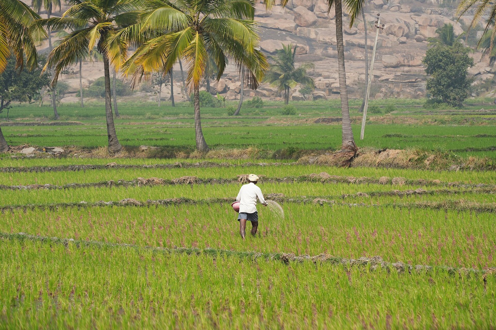 Parivaara  Panja Agriculture Services