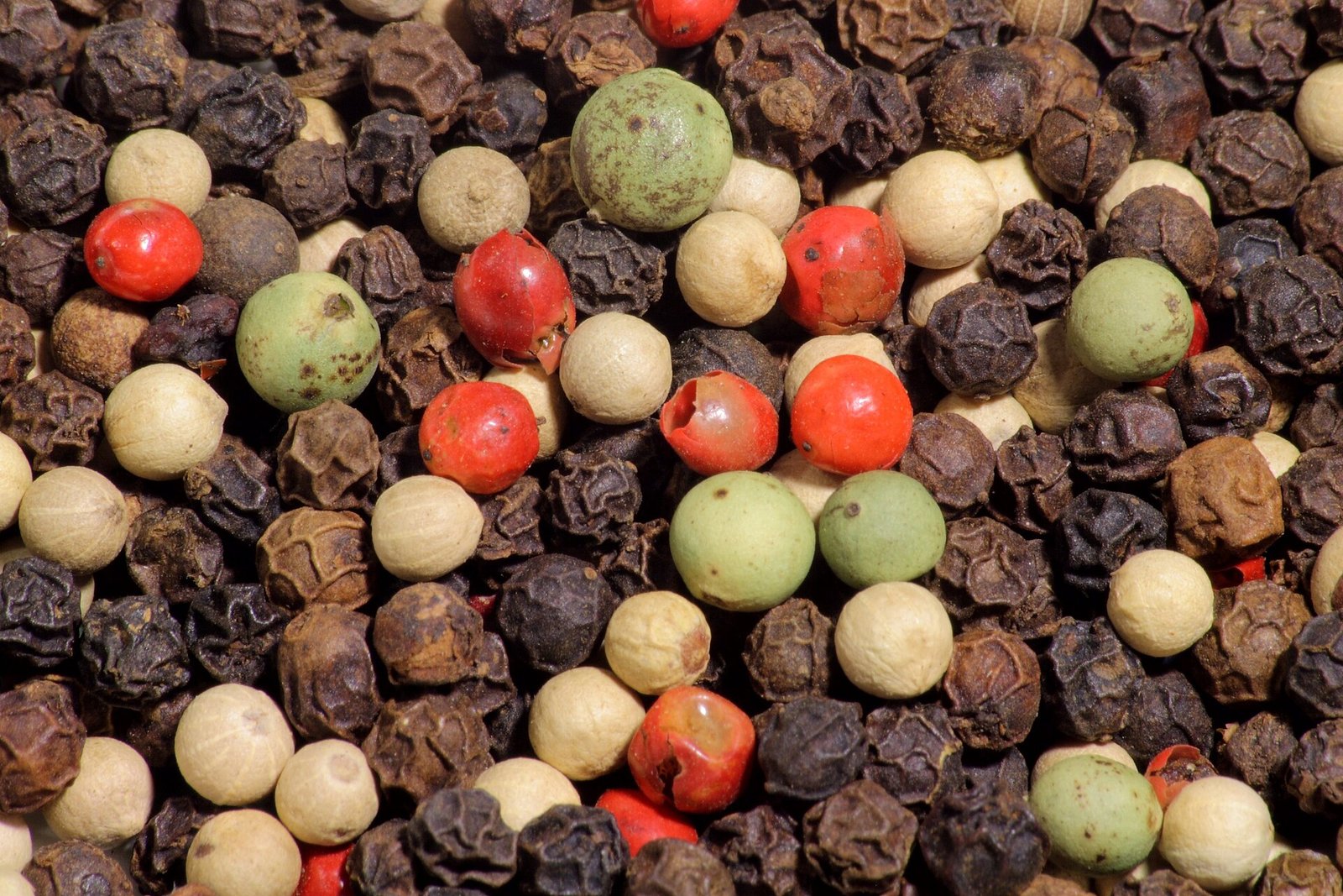 Black Pepper IISR CHANDRA
