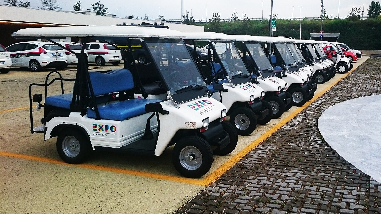Electric Cart