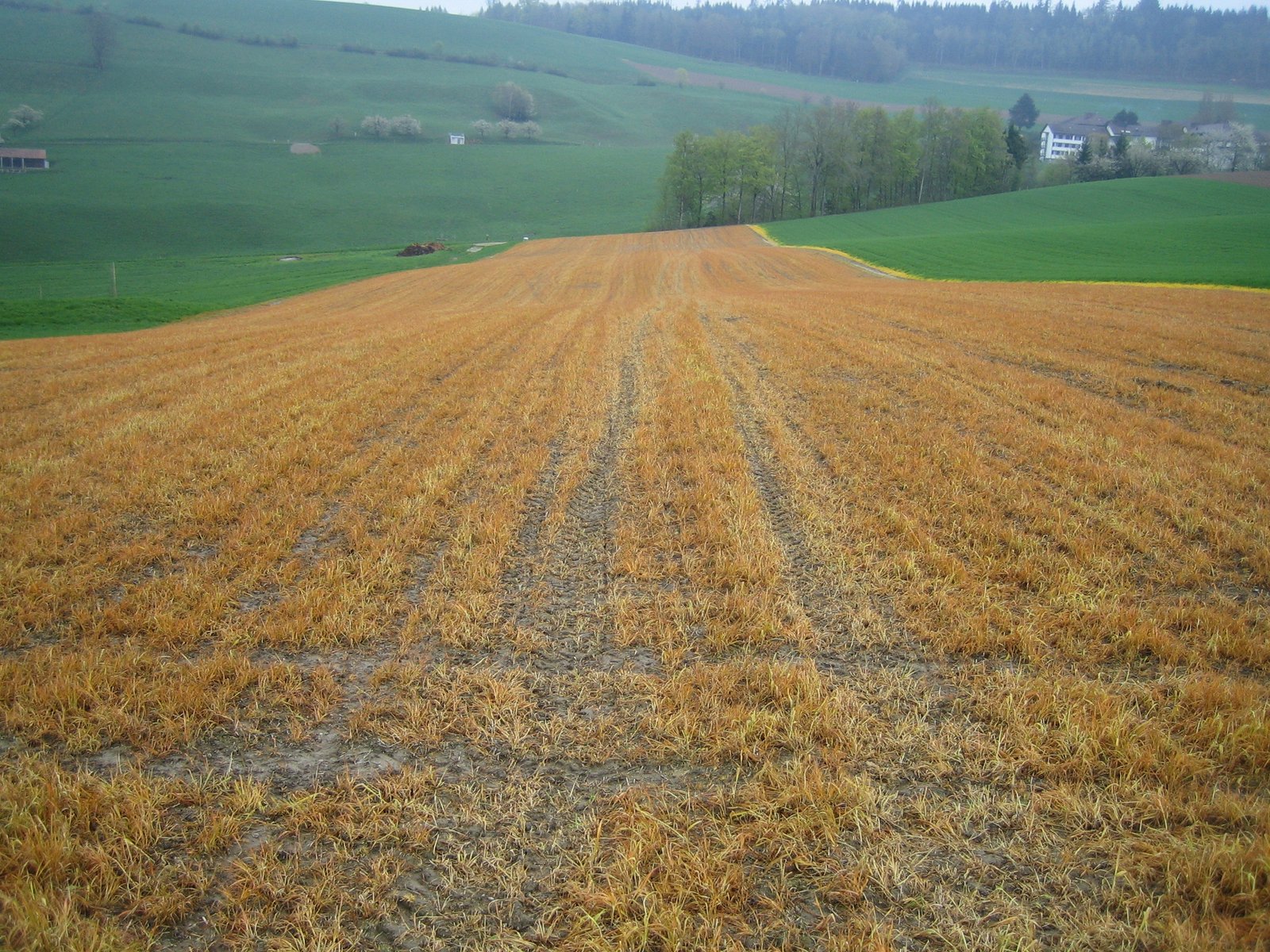 Herbicides
