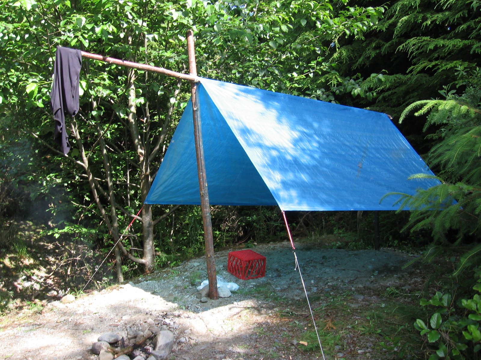 Tarpaulin
