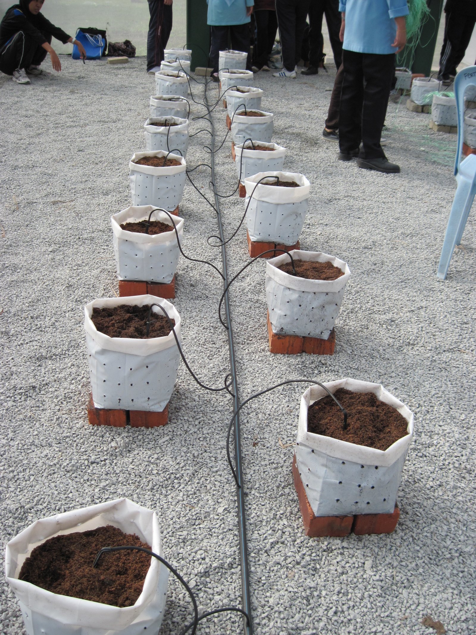 Water Soluble Fertilizers